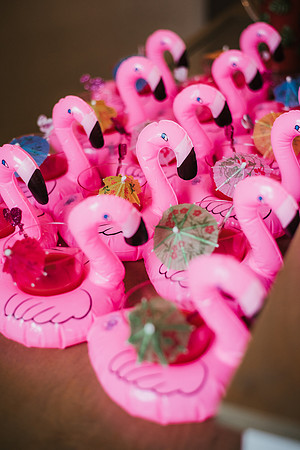 flamingo ball-124