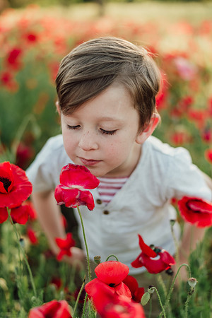 flowers24-4
