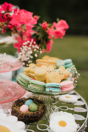 bunny Tea Party-44