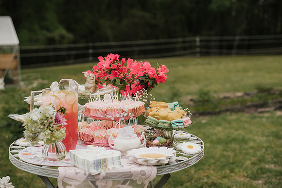 tea party-34