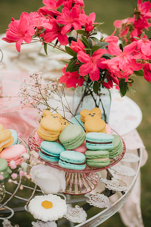 bunny Tea Party-45