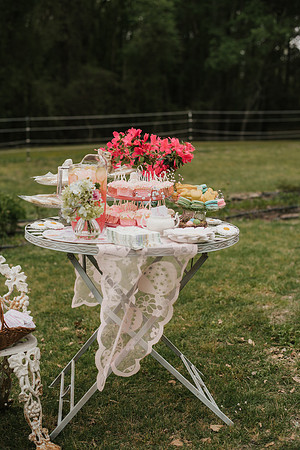 tea party-35