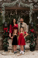Ashton Christmas Mini