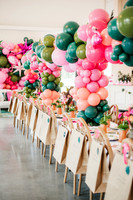 flamingo ball-15