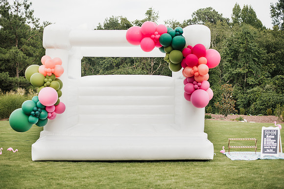 flamingo ball-45