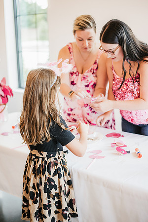 flamingo ball-66