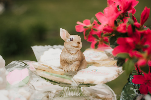 bunny Tea Party-43