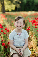 flowers24-3