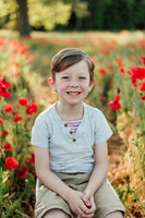 flowers24-2