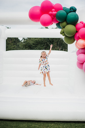 flamingo ball-47