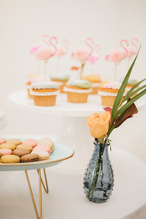 flamingo ball-77