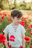 flowers24-5
