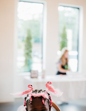 flamingo ball-98