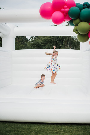 flamingo ball-48
