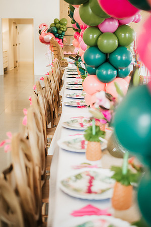 flamingo ball-9