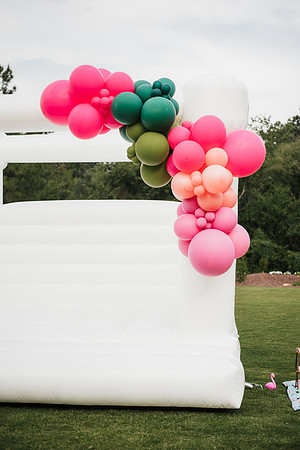 flamingo ball-46