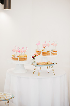 flamingo ball-39