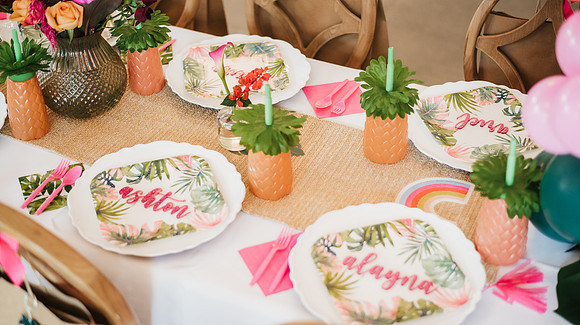 flamingo ball-19